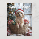 Recherche de chapeau père noël cartes postales Dog