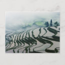 Suche nach reisfelder poster Ackerland