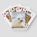 Recherche de joint jeux de cartes Animaux