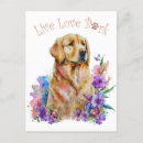 Recherche de golden retriever cartes postales Amoureux des chiens