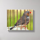 Suche nach bird leinwandbilder Vogel