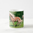 Recherche de poulains mignons tasses Cheval