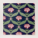 Recherche de indiens puzzles Illustration