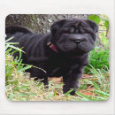 Suche nach shar pei welpe mousepads Chinesisch