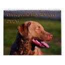 Suche nach jagd kalender Retriever