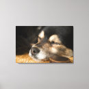 Suche nach stillstehen poster Zuhause