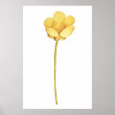 Recherche de ranunculus posters Vintage