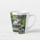 Suche nach vogelfoto Wasservogel