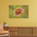 Recherche de couverture indienne posters Nature