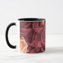 Suche nach rosa rosen blume tassen Natur