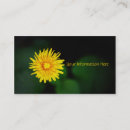 Recherche de fleurs pissenlit cartes visite Nature