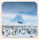 Suche nach kaiser pinguin untersetzer Vogel