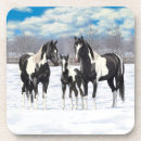 Suche nach pinto untersetzer Hengst