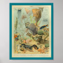 Suche nach seeanemonen poster Ozean