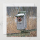 Suche nach vogelhaus karten Nestbox