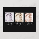 Recherche de live cartes postales Floral