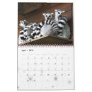 Suche nach abschluss kalender Glückwünsche