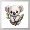 Suche nach koala poster Wunderbar