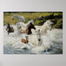 Recherche de troupeau posters Chevaux