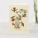 Recherche de mangue vœux cartes Illustration