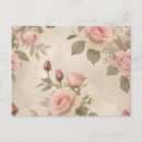 Recherche de marguerite rose cartes postales Botanique