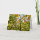 Suche nach massachusetts karten Wald