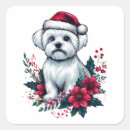 Suche nach weihnachten maltesisches Maltesische gabe