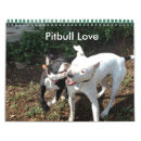 Suche nach pitbulls kalender Rettung