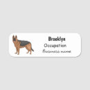 Recherche de berger bureau fournitures Chien berger allemand