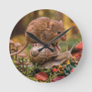 Recherche de escargots horloges Nature