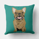 Recherche de fauve coussins Bouledogue français