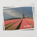 Recherche de rose vents cartes postales Pour tous