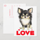 Suche nach niedlicher chihuahua postkarten Liebe