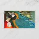 Recherche de cacatoès cartes visite Tropical