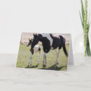 Suche nach filly karten Stute