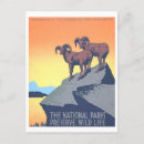 Recherche de wild cartes postales Faune