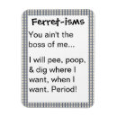 Recherche de furet magnets Animal