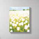 Suche nach weiße tulpen leinwandbilder Feld