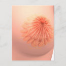 Suche nach drüse postkarten Anatomie