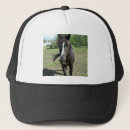 Recherche de chevaux casquettes Équine