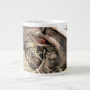 Recherche de cochons tasses Animaux