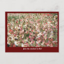 Recherche de rio vintage cartes postales Carnaval