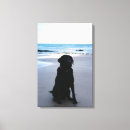 Suche nach schwarzer labrador leinwandbilder Schwarzes