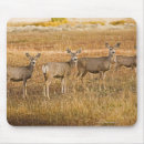 Suche nach eins mousepads Natur