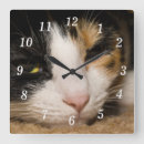 Suche nach tierärzte kunst Tierärztin