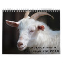 Suche nach ziegen kalender Tiere