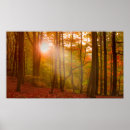 Suche nach pracht poster Sonnenuntergang