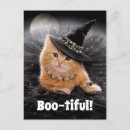 Suche nach lustig halloween einladungen Avanti press