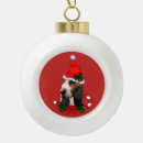 Recherche de noël de basset Animaux domestiques