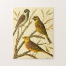 Suche nach ast puzzle Vogel
